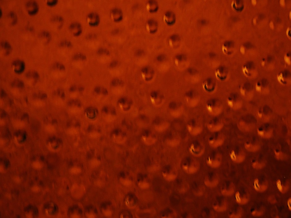 h2o must 065